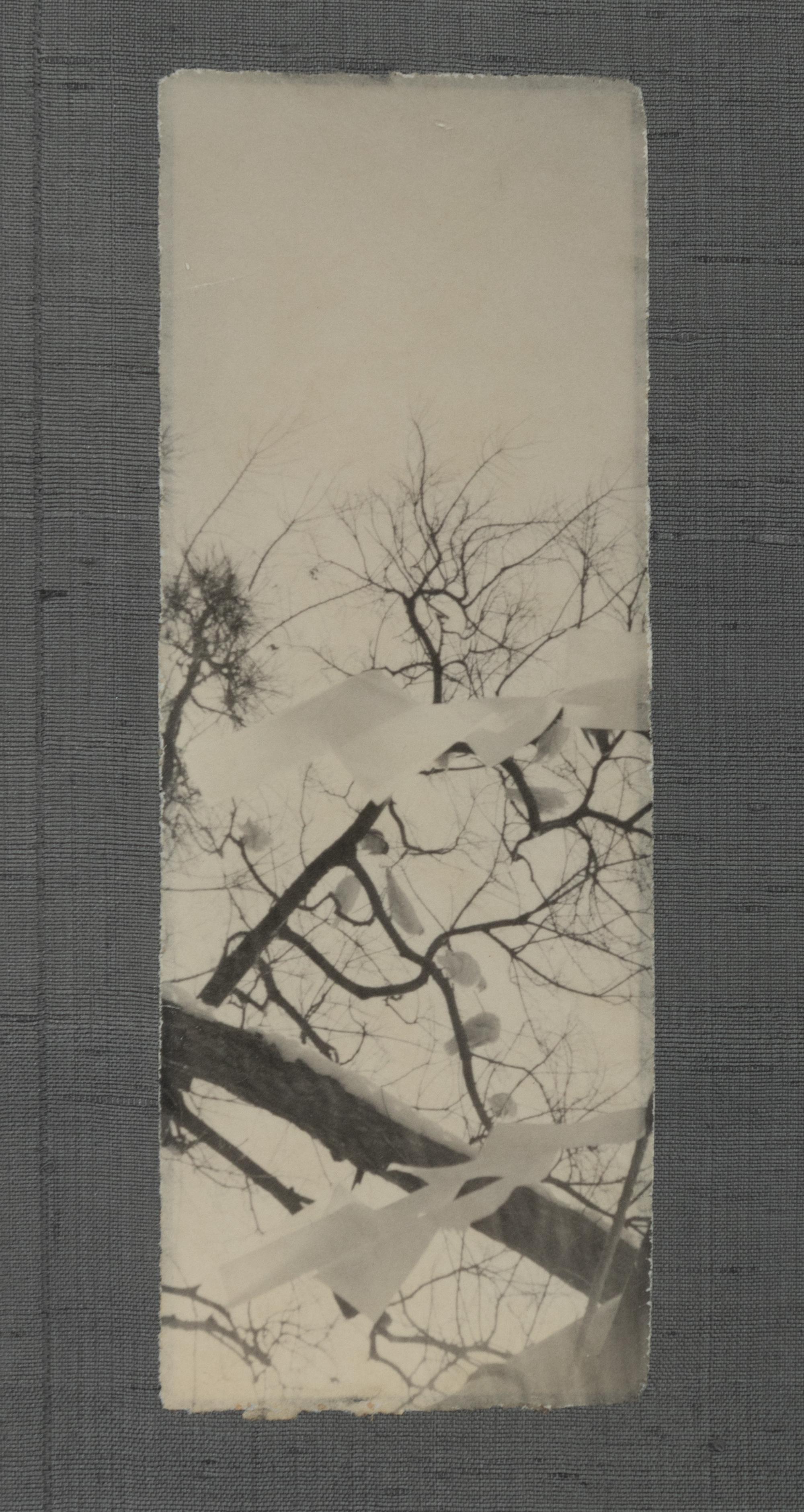 Masao Yasmamoto