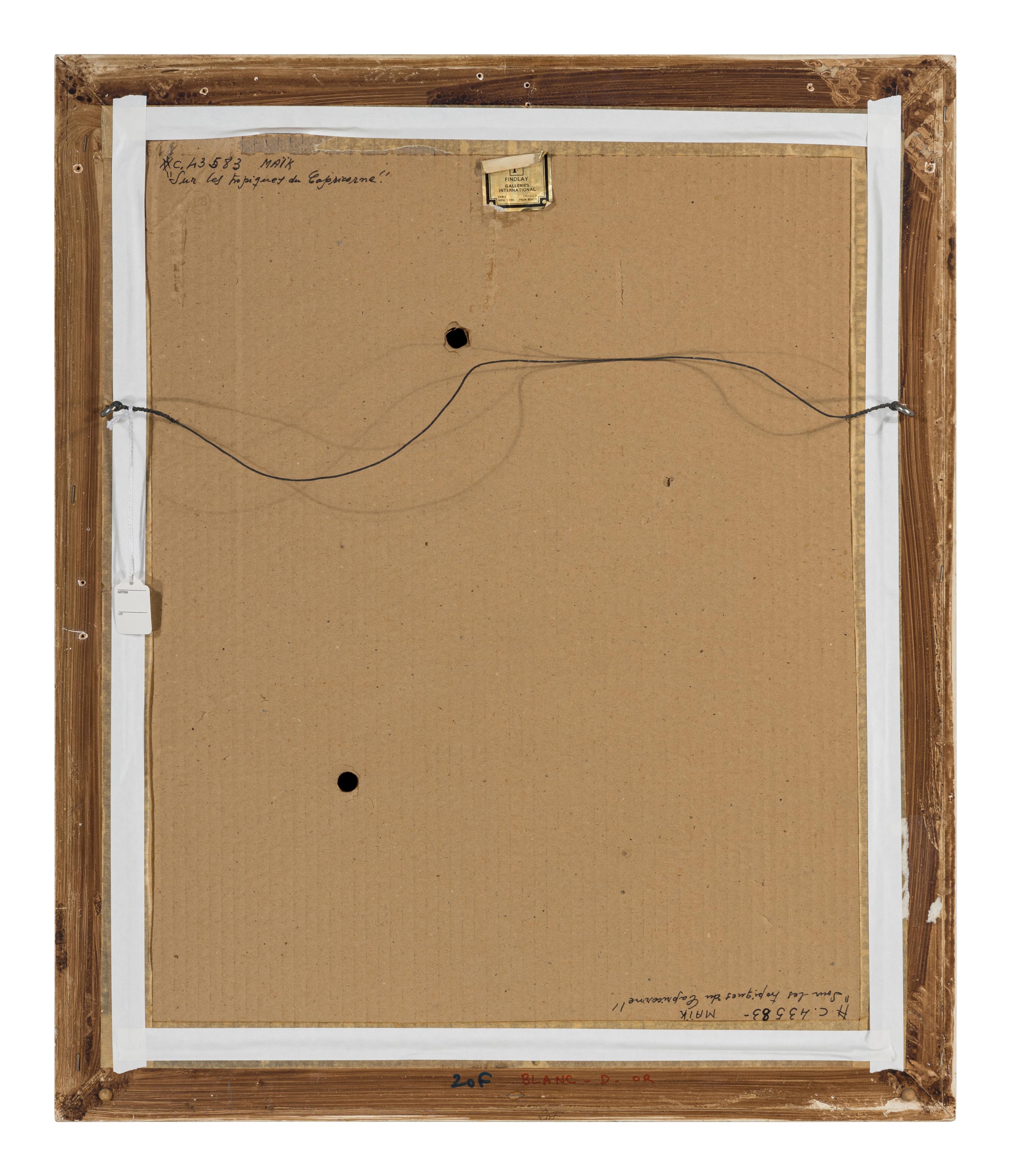 Sous les tropiques du Capricorne , 1972