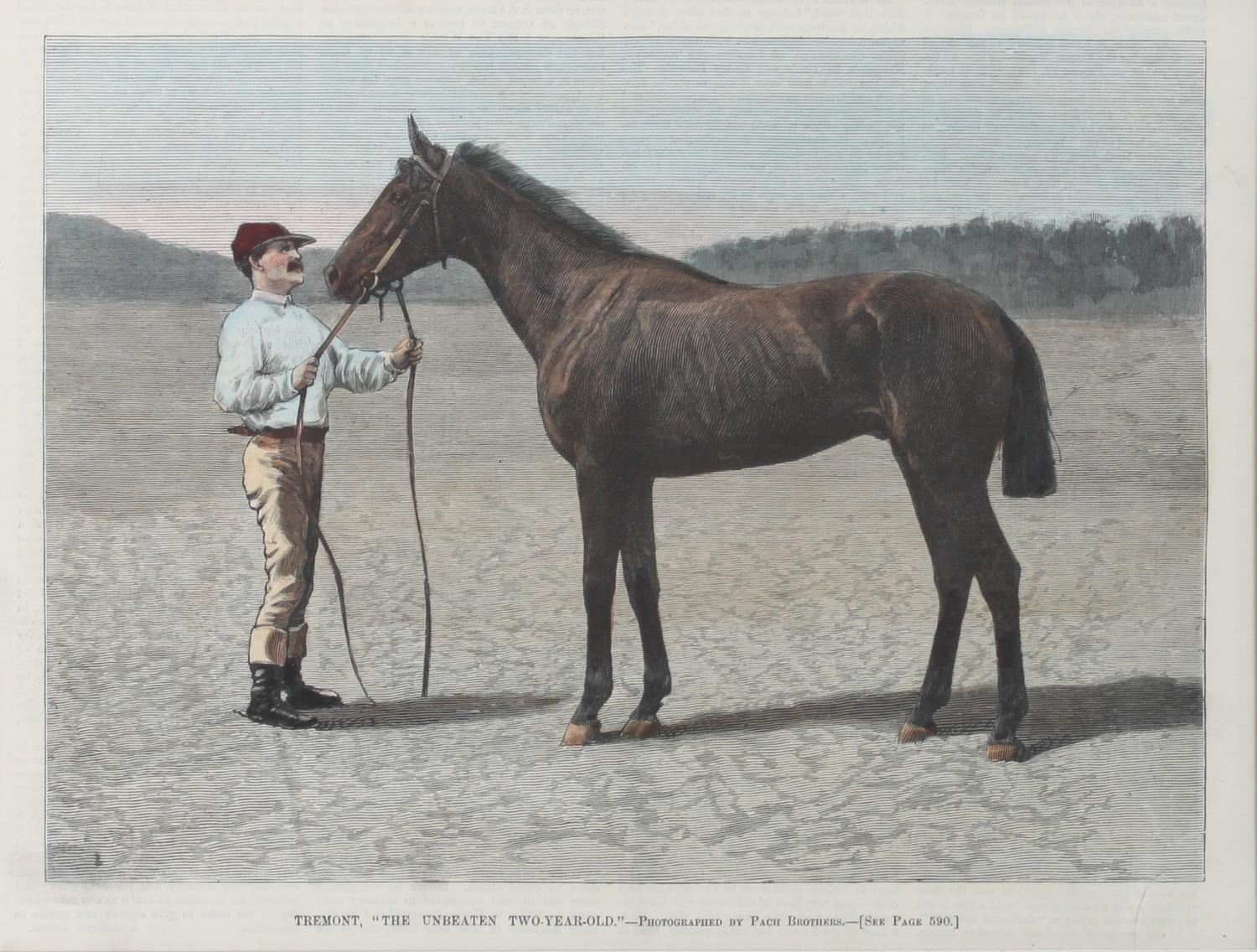 Six Hand Colored Sporting Prints Height 16 x width 11 inches (sheet) — 19TH CENTURY