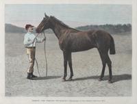 Six Hand Colored Sporting Prints Height 16 x width 11 inches (sheet) — 19TH CENTURY