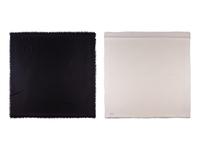 Two Louis Vuitton Shawl Scarves