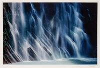 A group of ten photographs from the Creation Portfolio (one duplicate image)