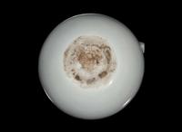 A Chinese blanc de Chine small fruit-form incense holder 德化窯果形小香盒