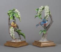 A Pair of Royal Worcester Dorothy Doughty Birds, Lazuli Bunting, Height 11 inches.