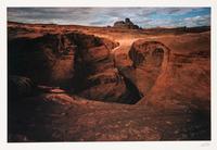 A group of ten photographs from the Creation Portfolio (one duplicate image)