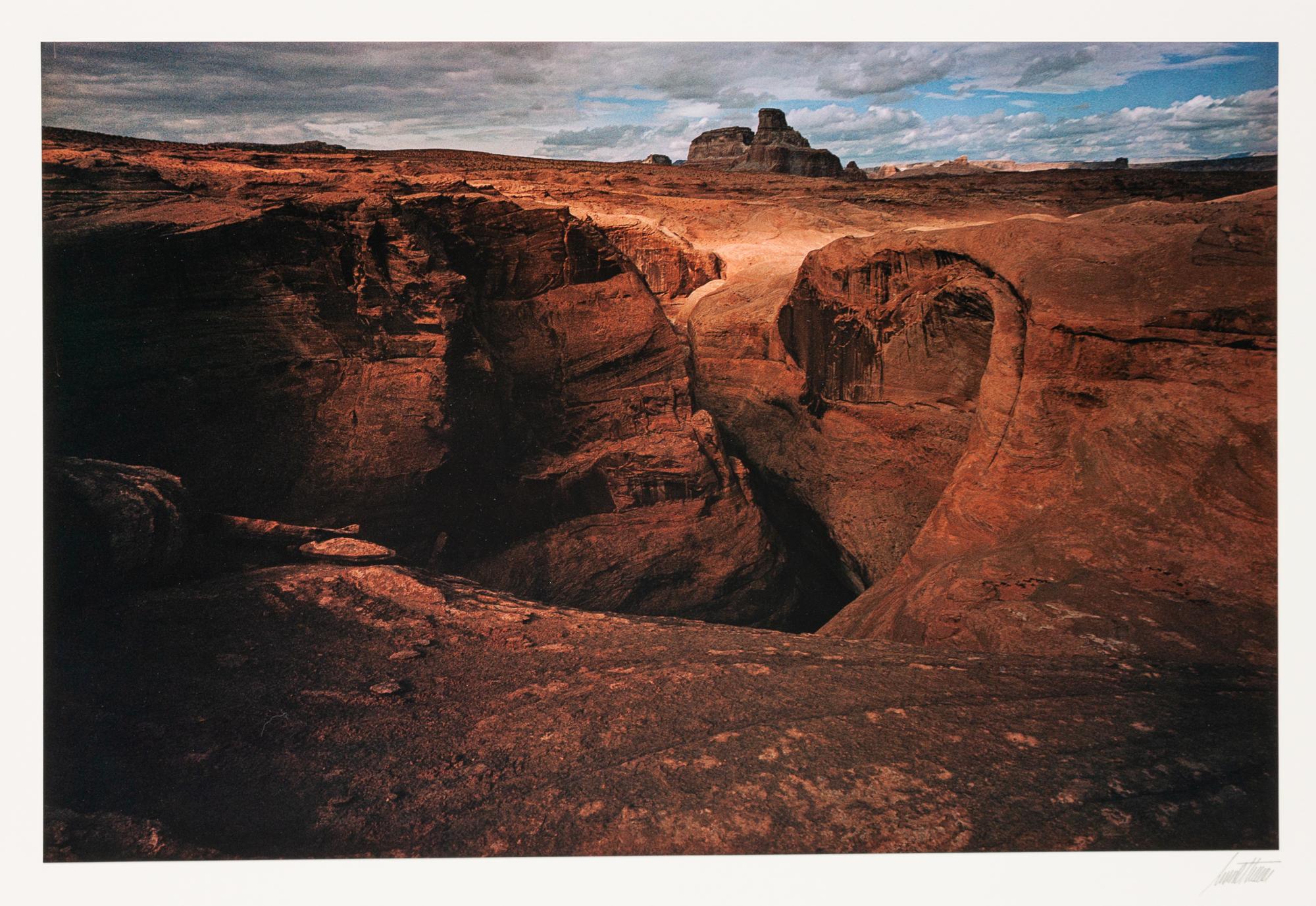 A group of ten photographs from the Creation Portfolio (one duplicate image)