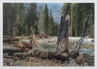 A Collection of Seven Framed Western Prints