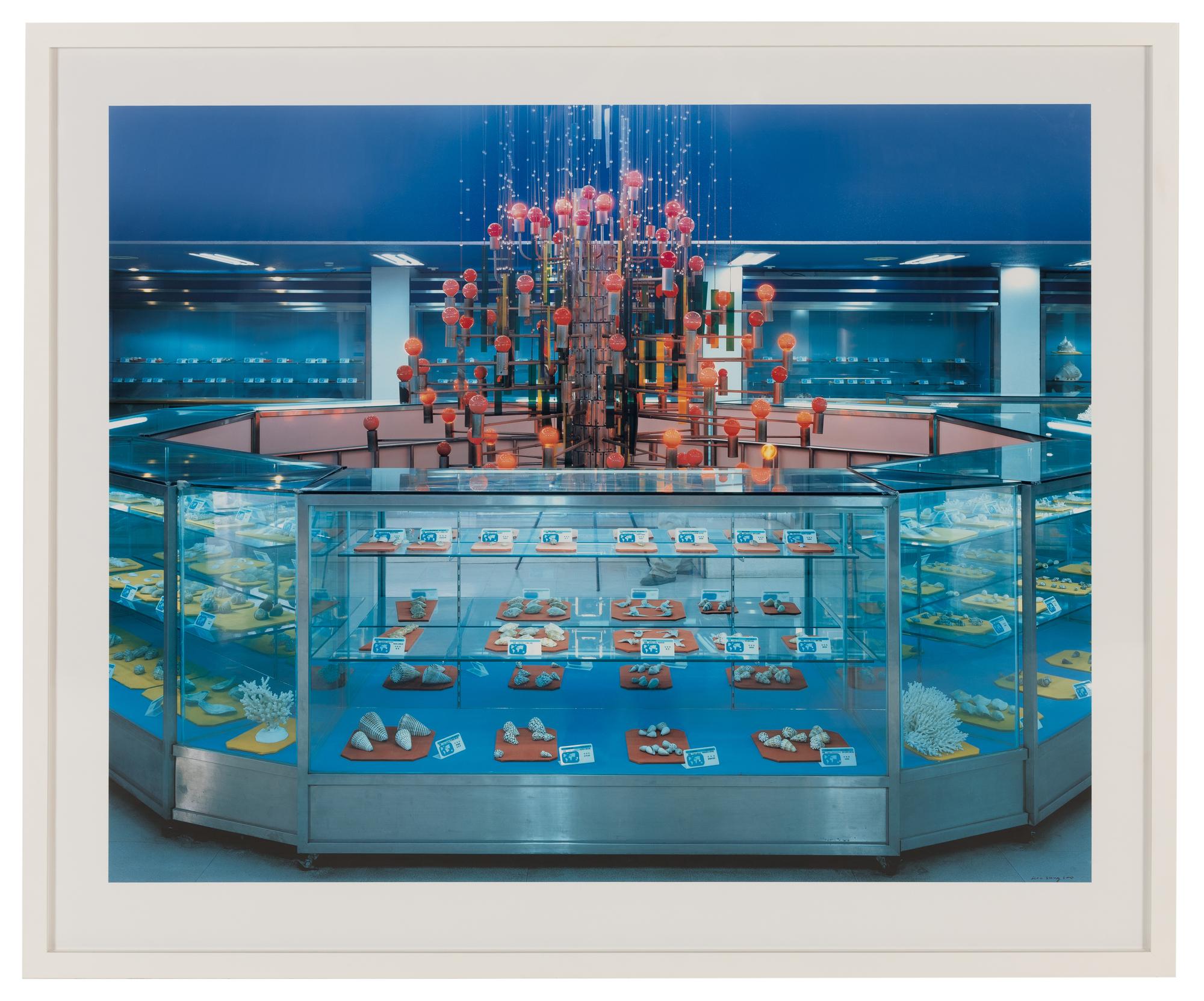 Specimen Room , 2005