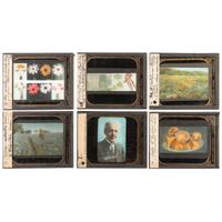 [EARLY PHOTOGRAPHY] -- [HORTICULTURE]. A group of 93 magic lantern slides and notes for a program on Luther Burbank. Boston, MA: E.W. Goodrich, Tremont Temple, [ca 1920s].