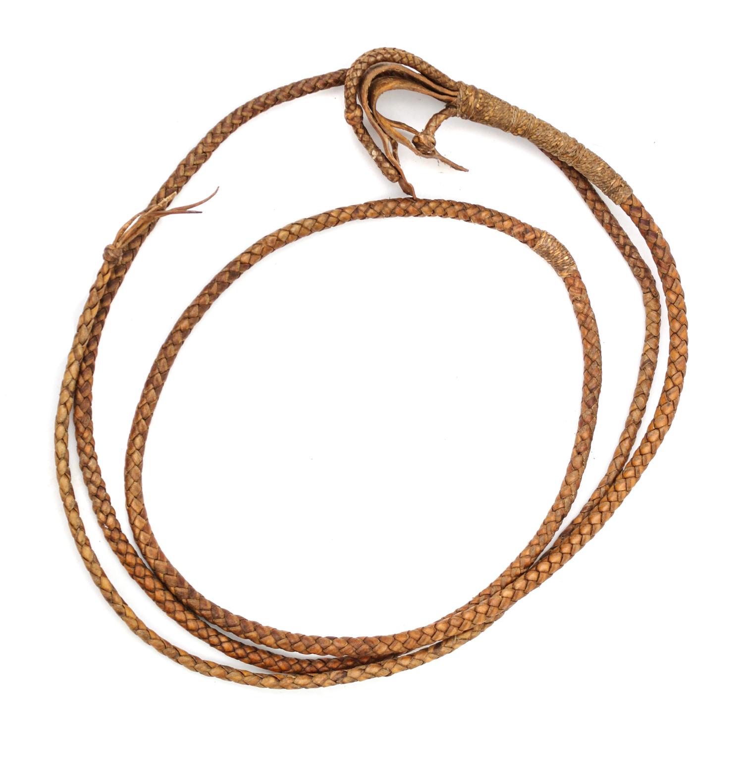 An Argentinian Bull Hide Braided Lead Length 10 feet 9 inches