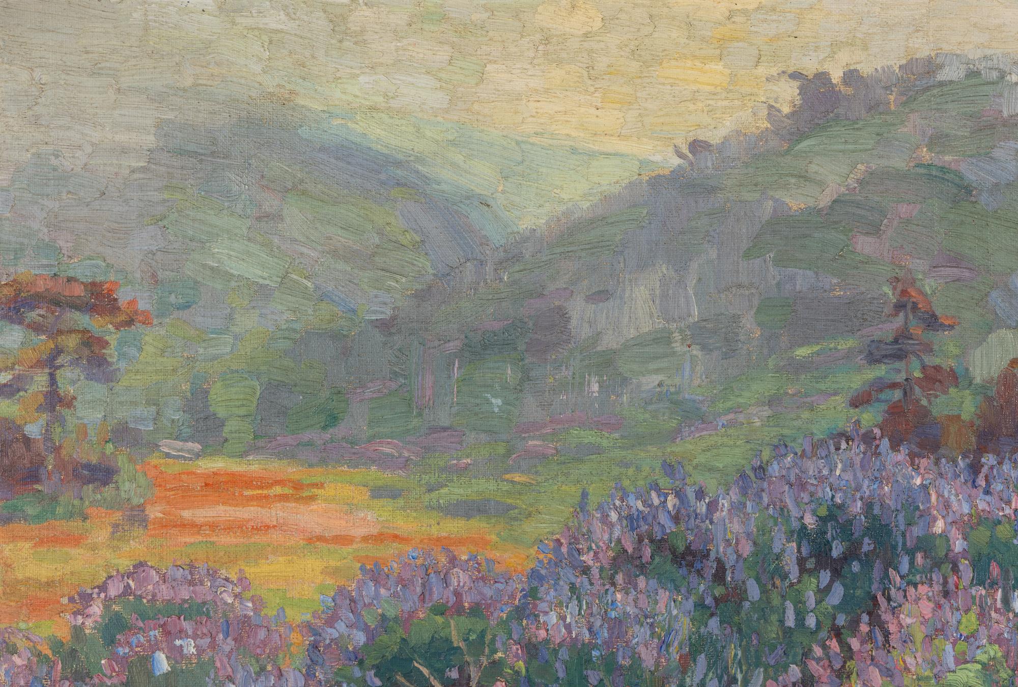 Purple and Gold Hills