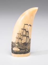 A Scrimshaw Sperm Whale's Tooth
