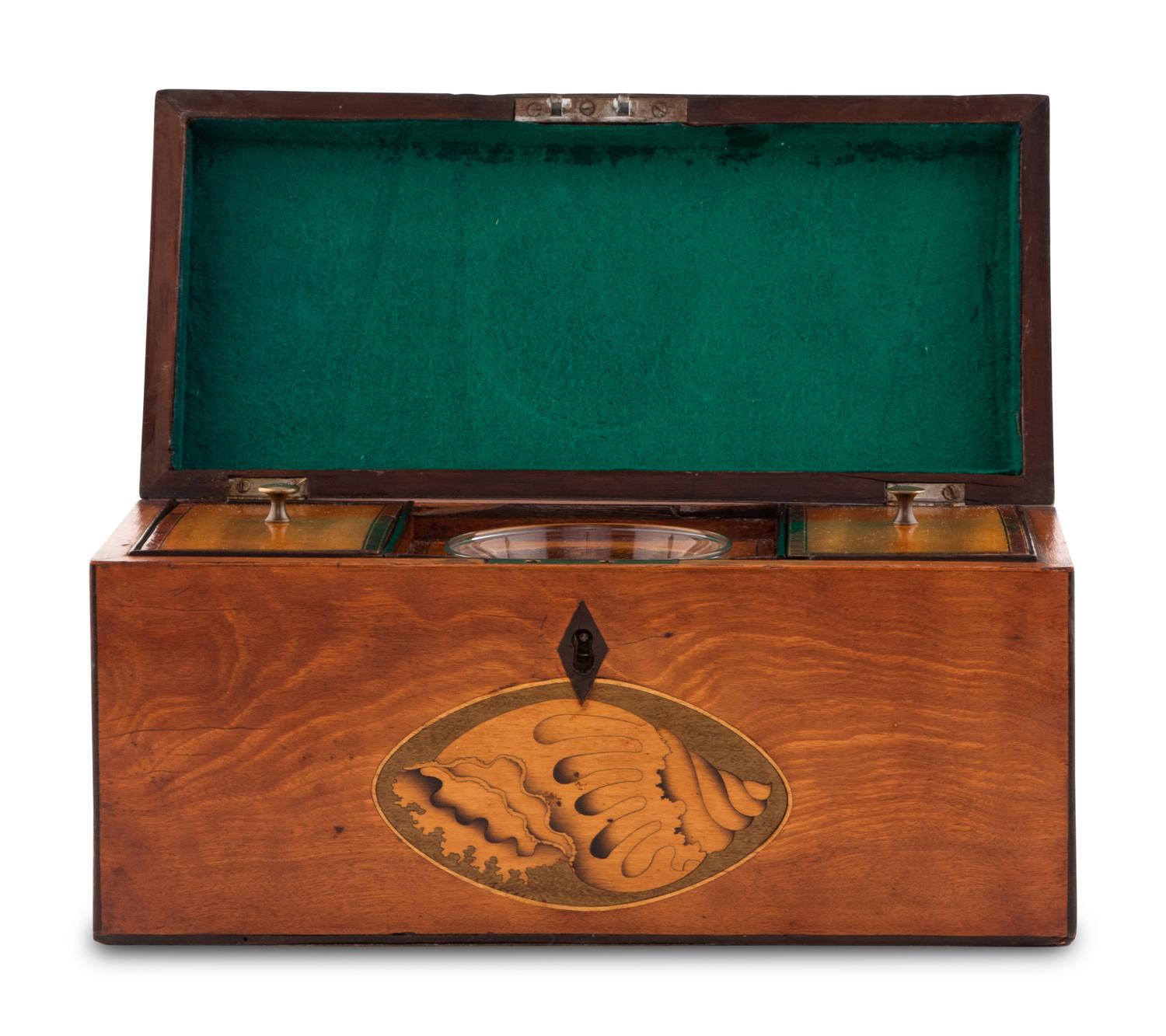 A Regency Satinwood and Marquetry Tea Caddy