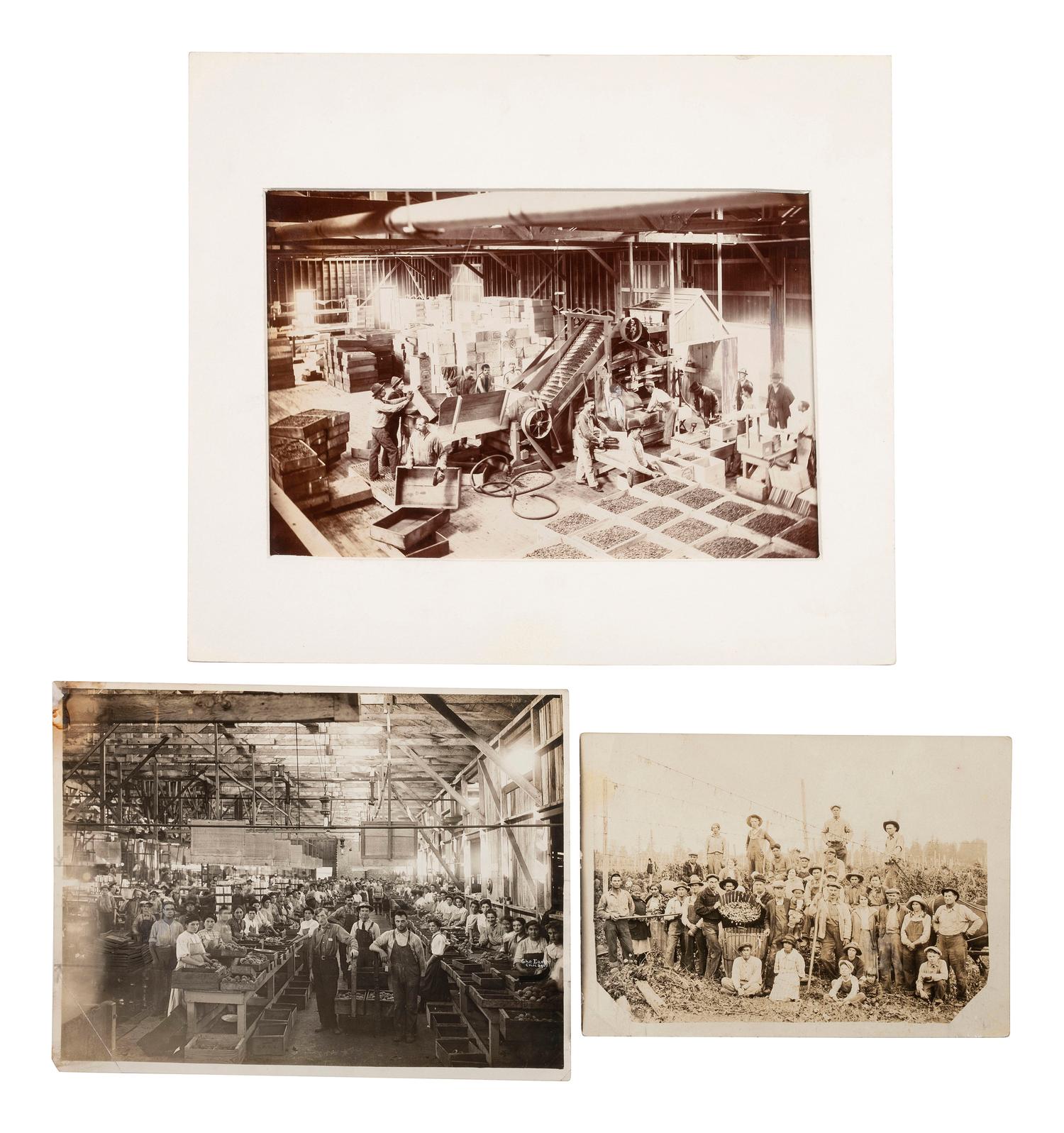 [EARLY PHOTOGRAPHY]. A large group of early photographs incl. equestrian and logging views.