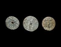 Three Neolithic Stone Discoidals