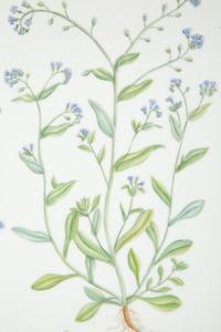 A Royal Copenhagen Flora Danica Porcelain Oblong Tray