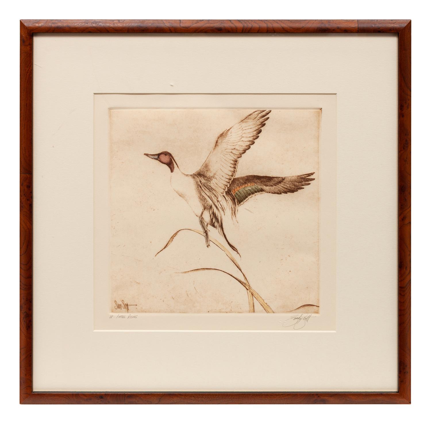 Four Prints: Leftovers , edition 23/100; Trout , edition 31/100; Ruffed Grouse , edition60/100; Pintail Rising, Artist's Proof