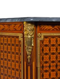 A Pair of Louis XVI Style Gilt Bronze Mounted Marquetry and Parquetry Marble-Top Commodes