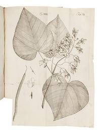 WANGENHEIM, Friedrich Adam Julius von (1749-1800). Beytrag zur teutschen holzgerechten Forstwissenschaft . Göttengen: J. C. Dieterich, 1787.