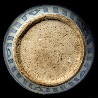 A Chinese Blue and White 'Birds and Trees' Porcelain Jar, 16th/17th Century 明末清初 青花花鳥圖大罐