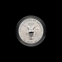 A 2019-S Silver Eagle Enhanced Reverse Proof $1 Coin