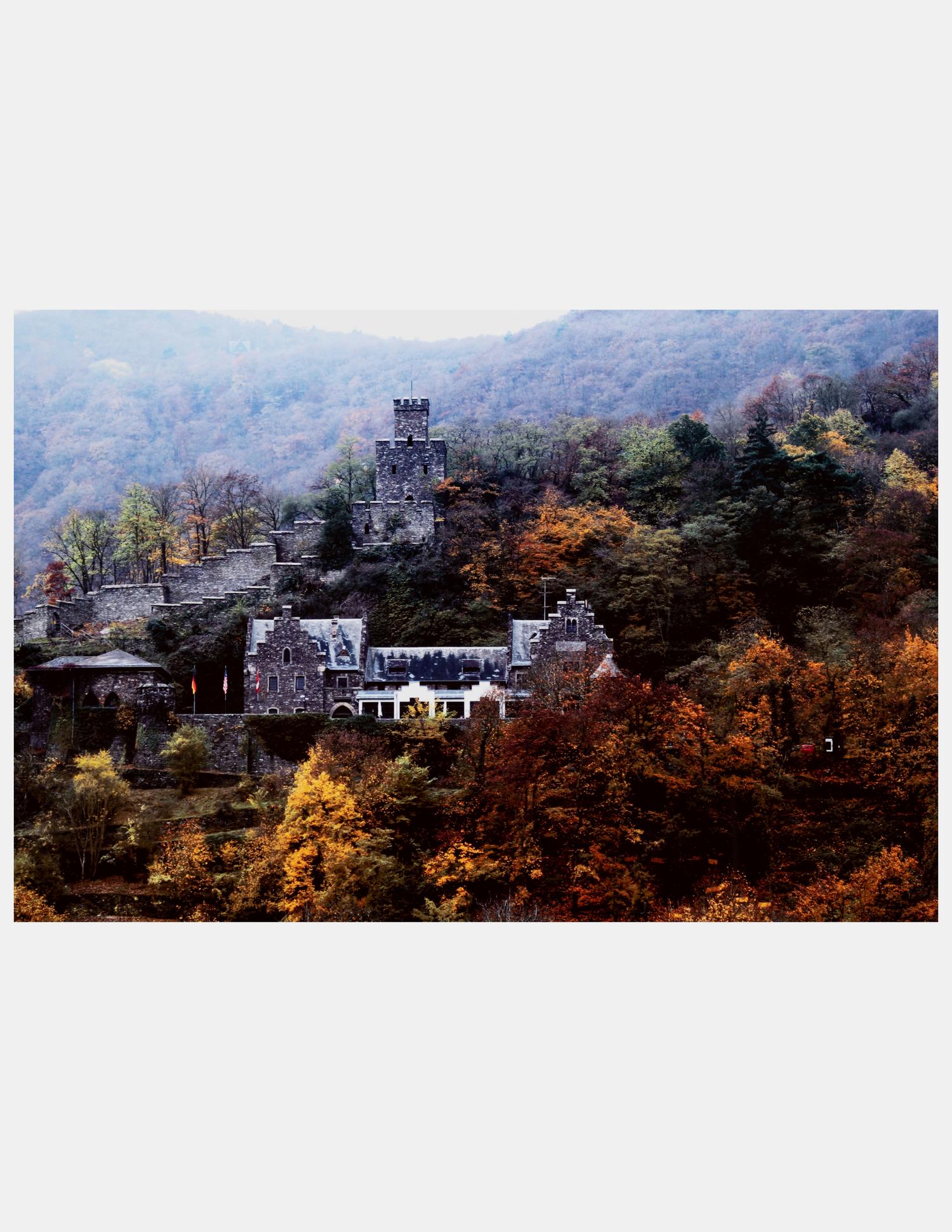 Rhine Valley Gorge Castle