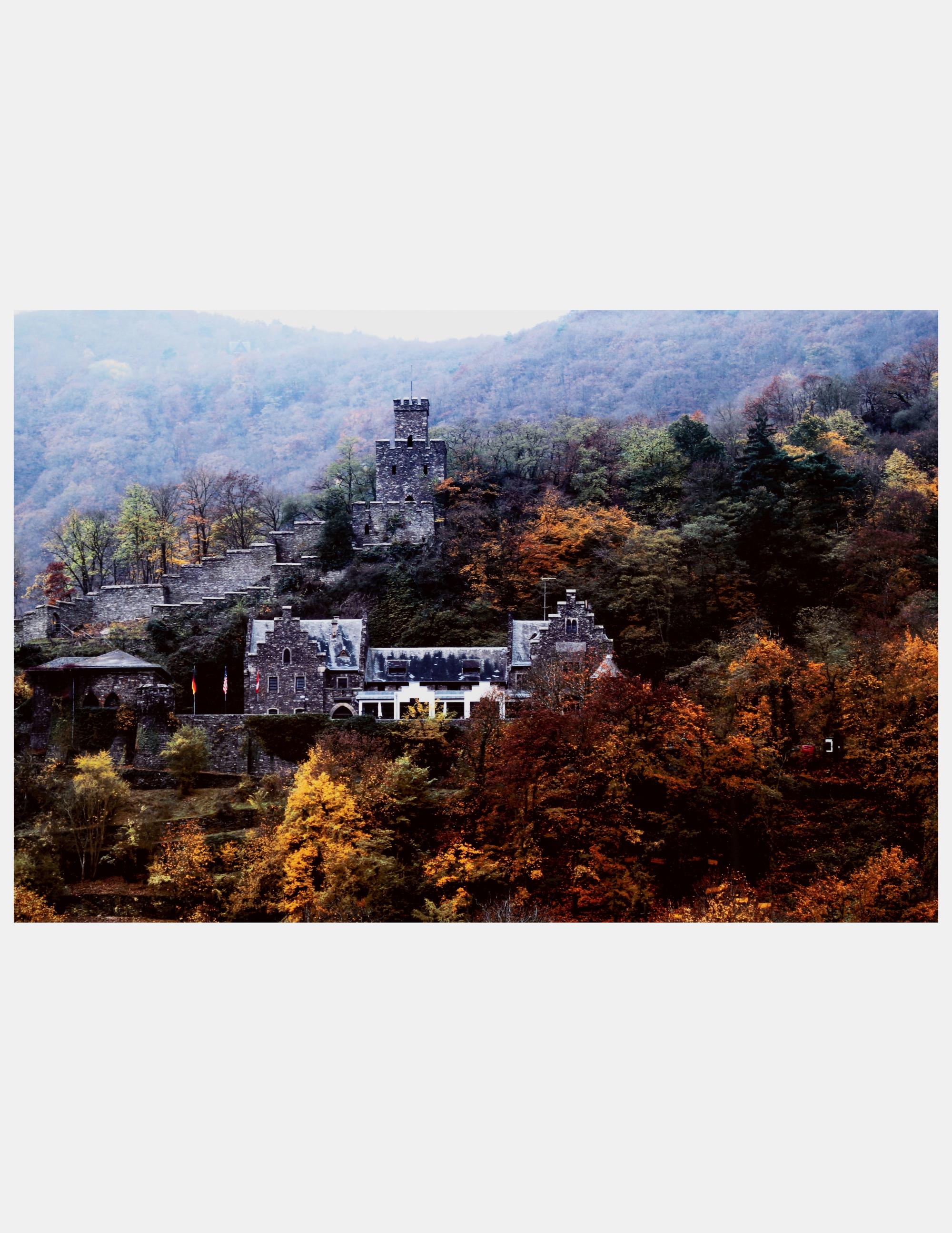 Rhine Valley Gorge Castle