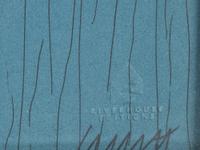 Vertical Lines Not Straight Not Touching on Color (plate numbers 1, 2, and 5 from the portfolio of six)