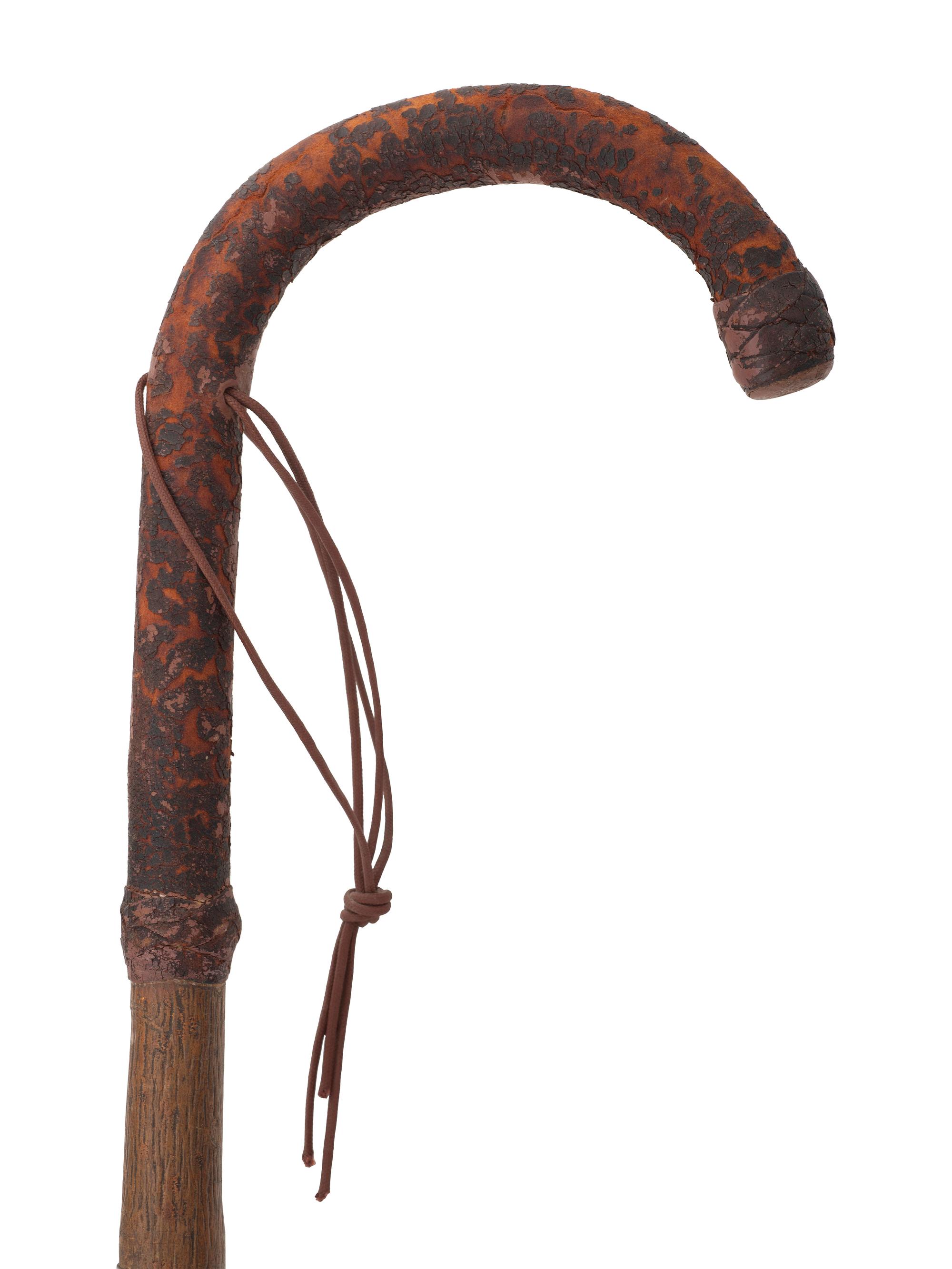Four Walking Sticks