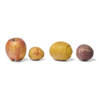 A Group of Nine Pieces of Painted Stone Fruit