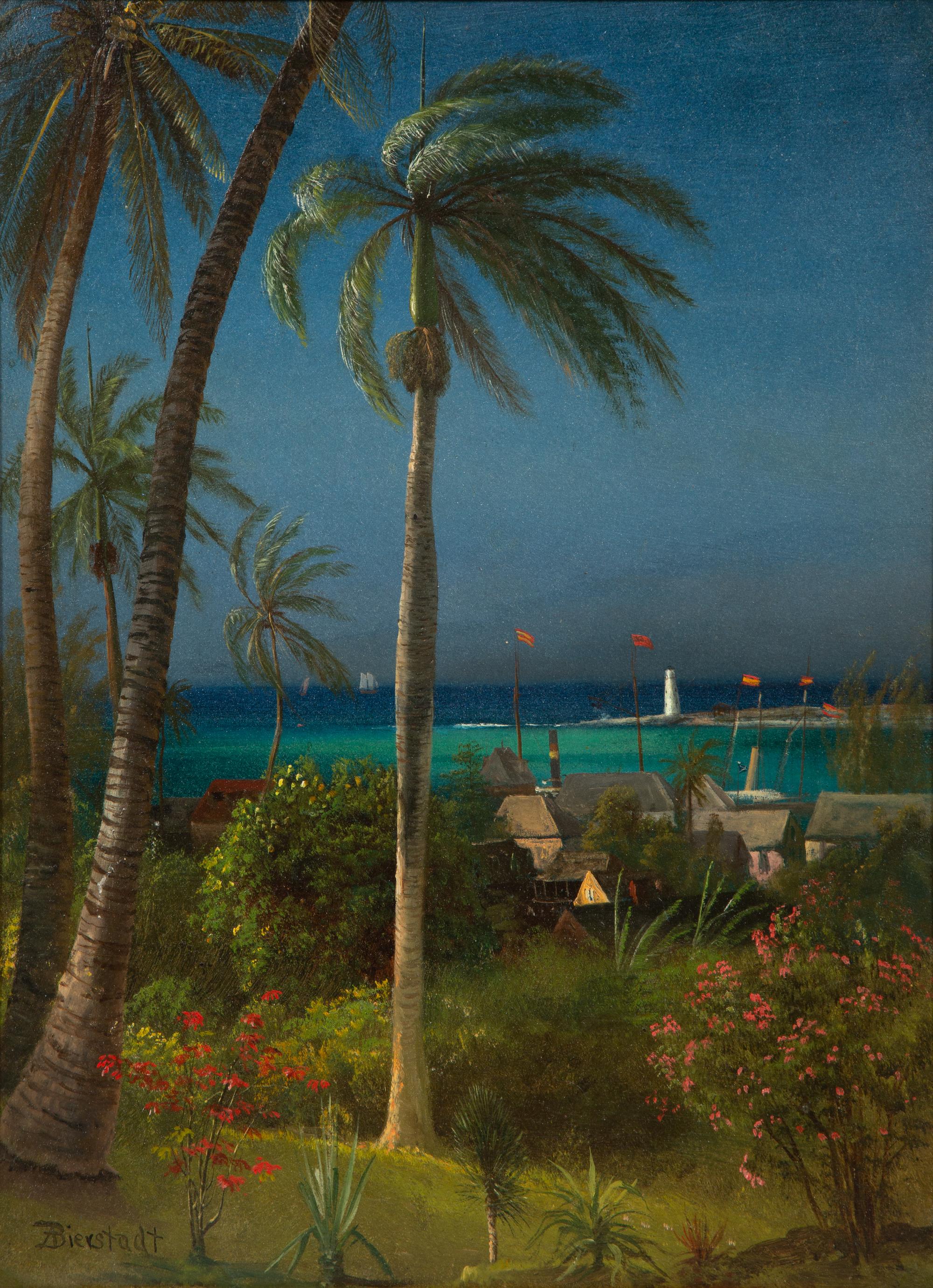 Bahamian View