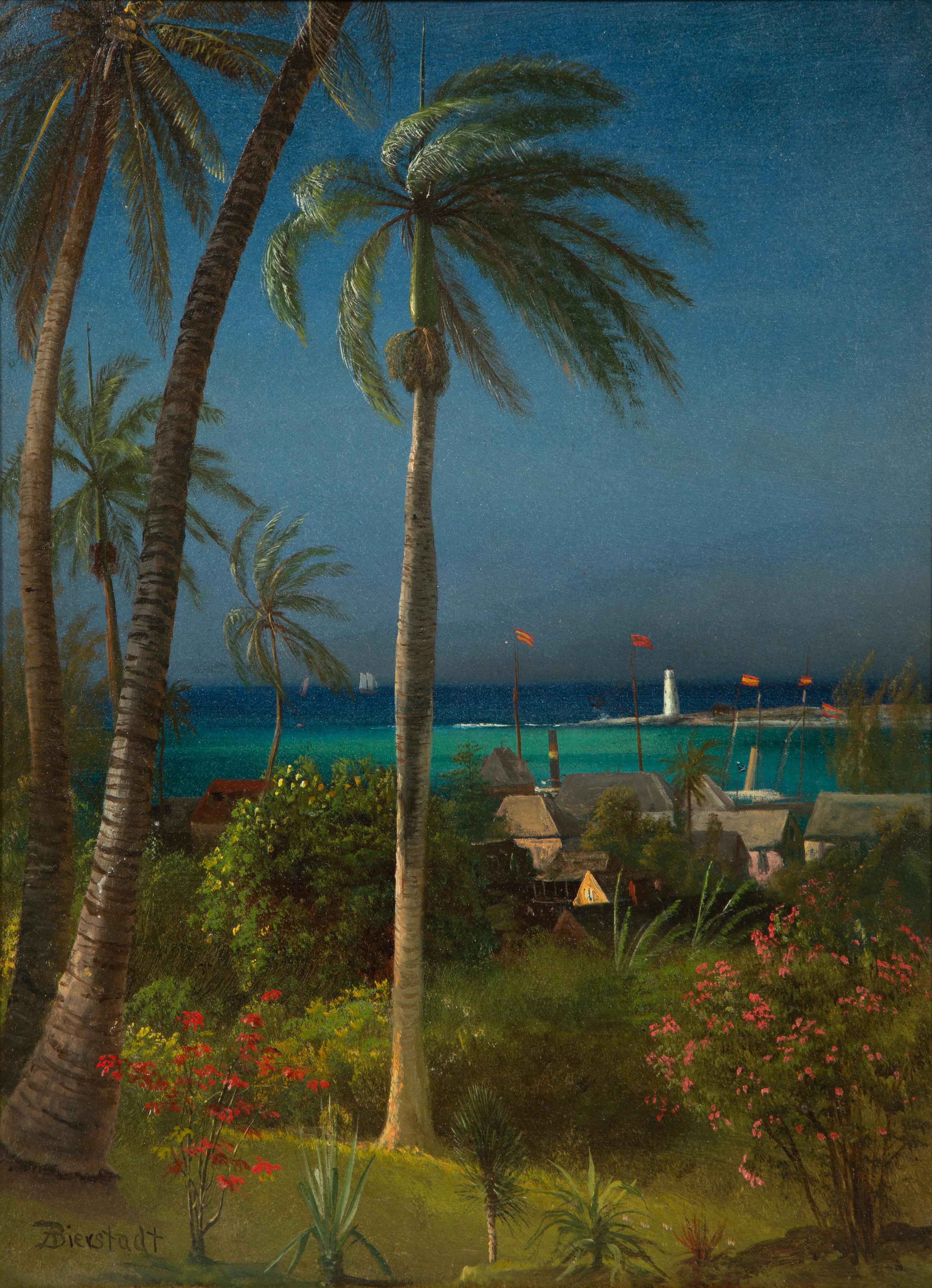 Bahamian View