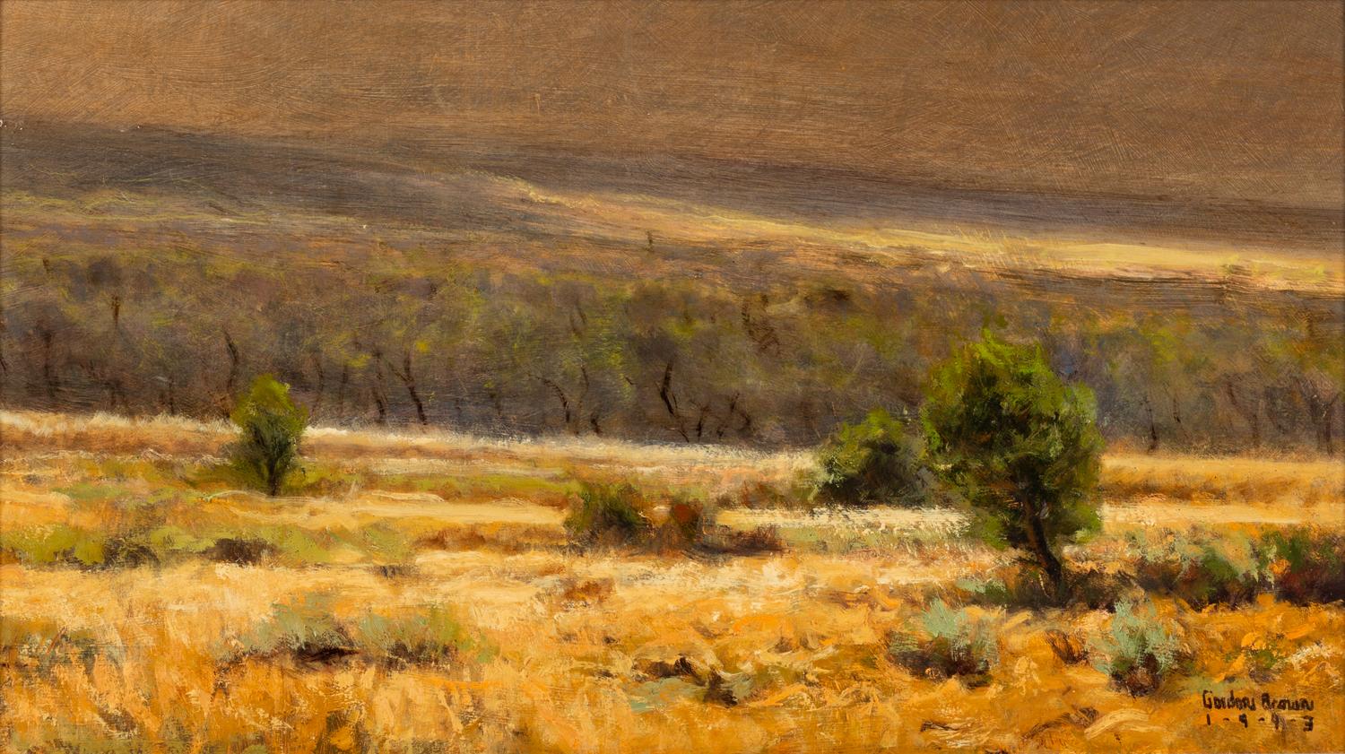 Colorado Landscape