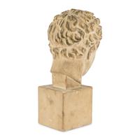 A Cast Composition Head of a Youth