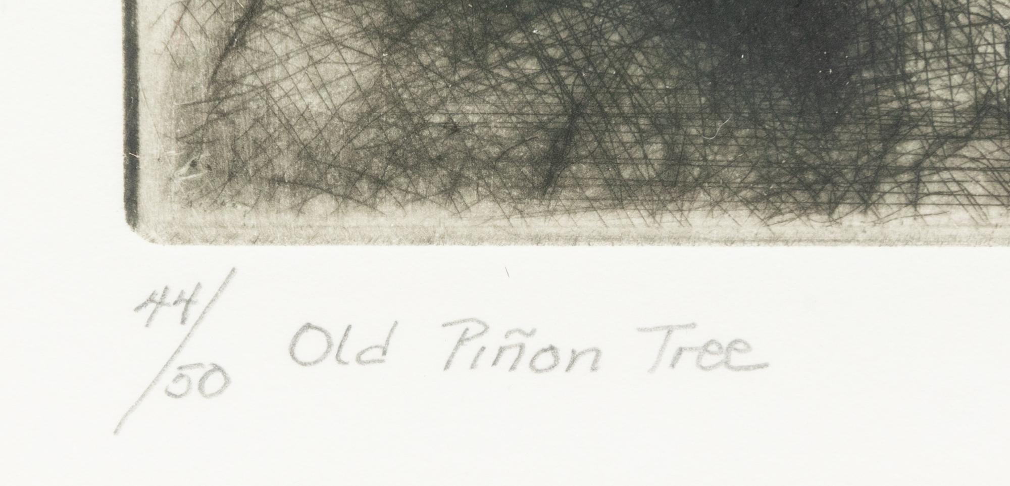 Old Piñon Tree , edition 44/50