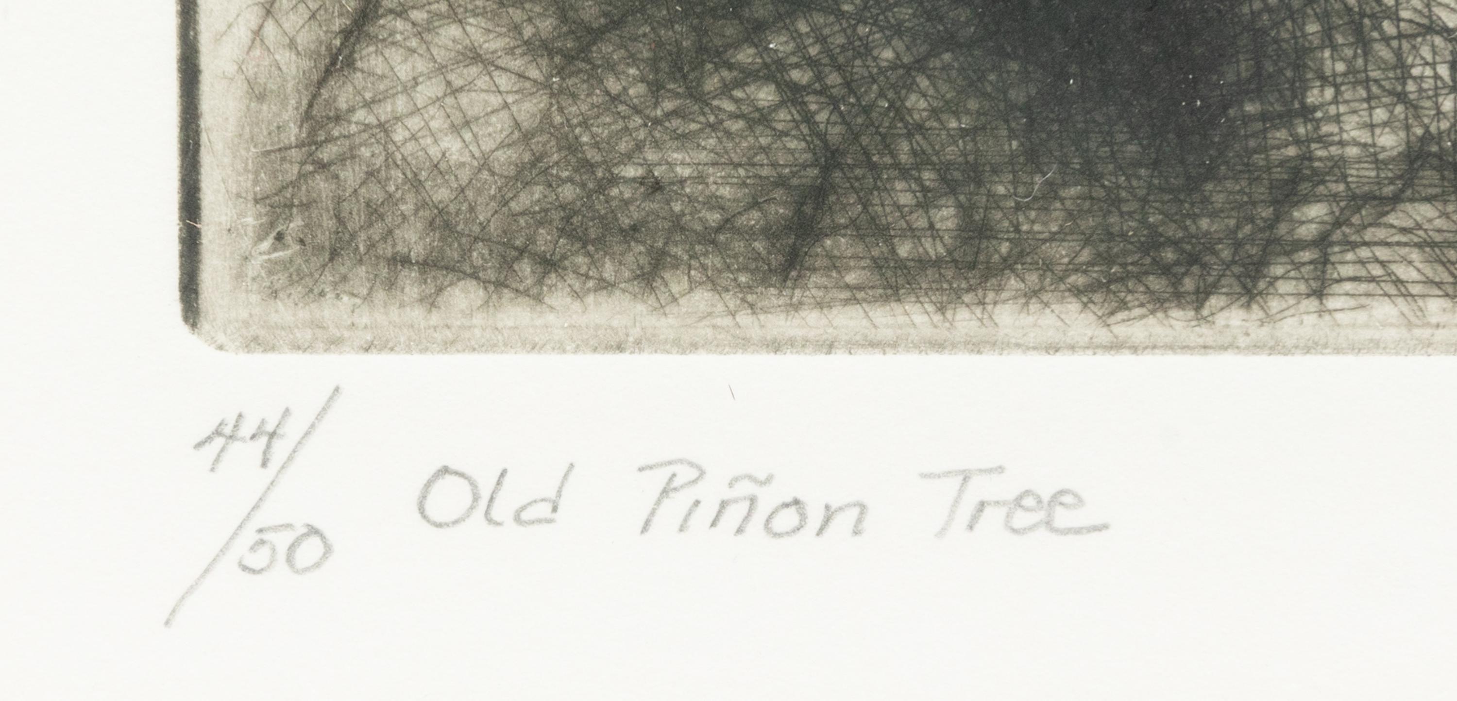 Old Piñon Tree , edition 44/50