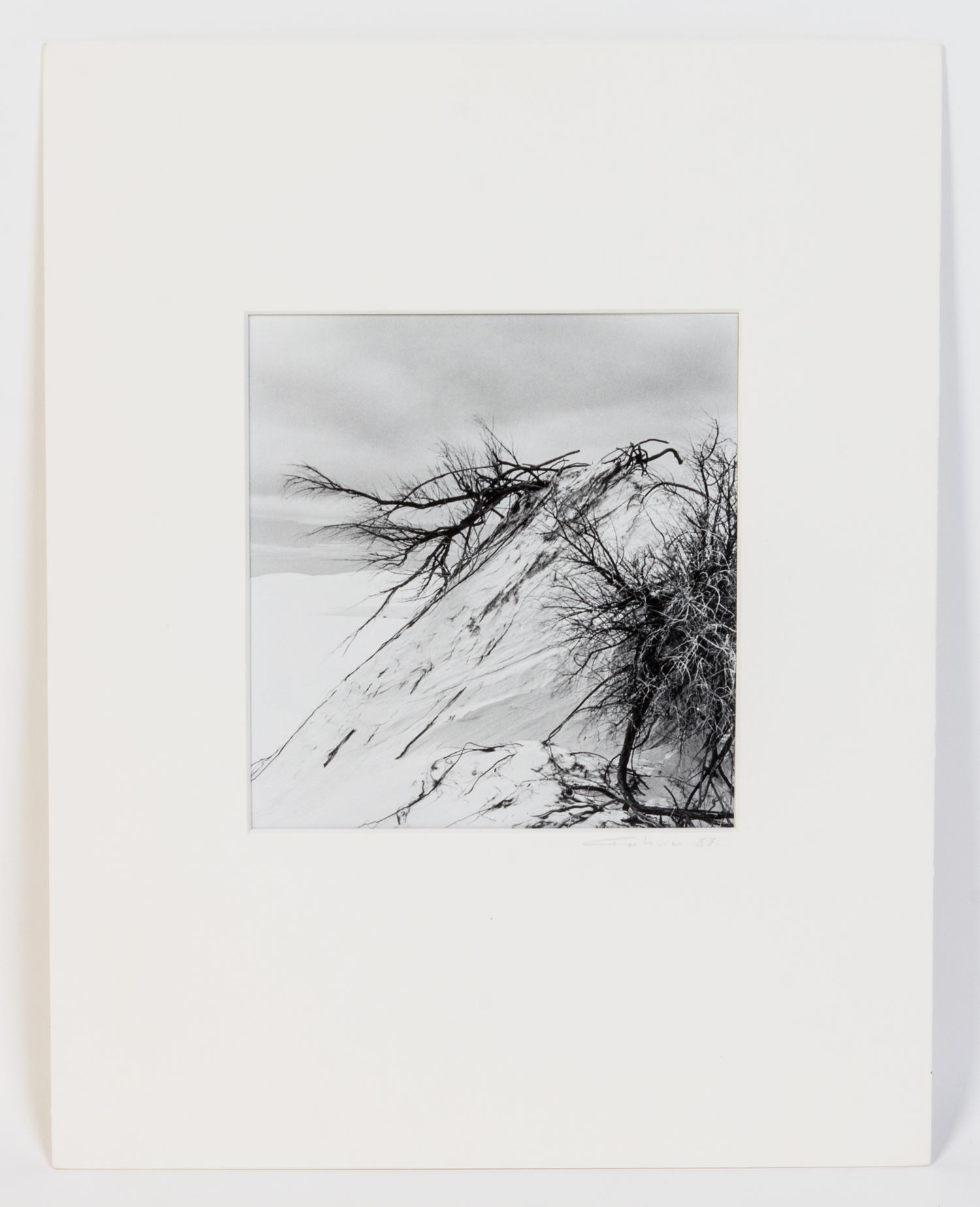Artist Unknown, (20th century), Untitled