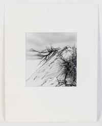 Artist Unknown, (20th century), Untitled
