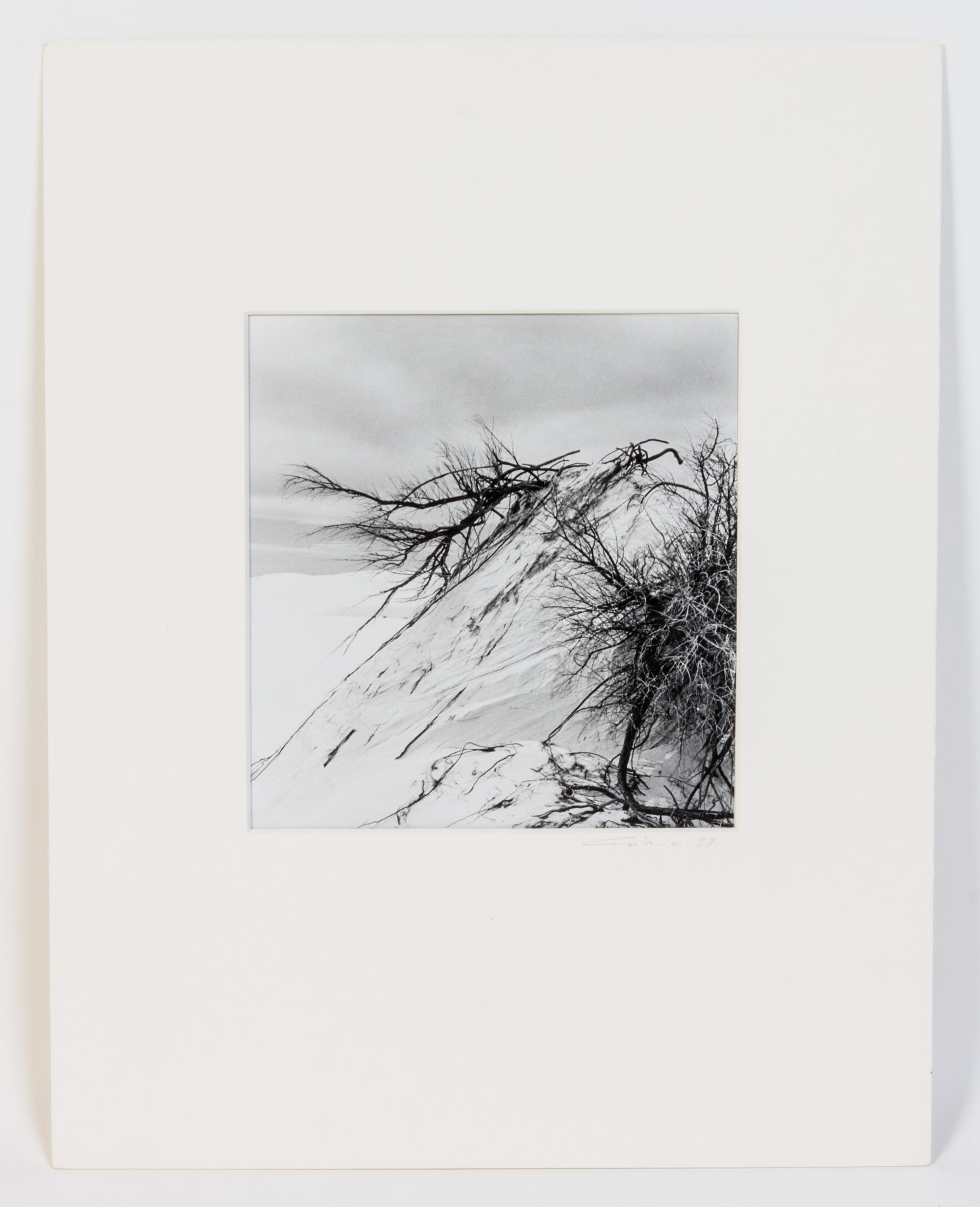 Artist Unknown, (20th century), Untitled
