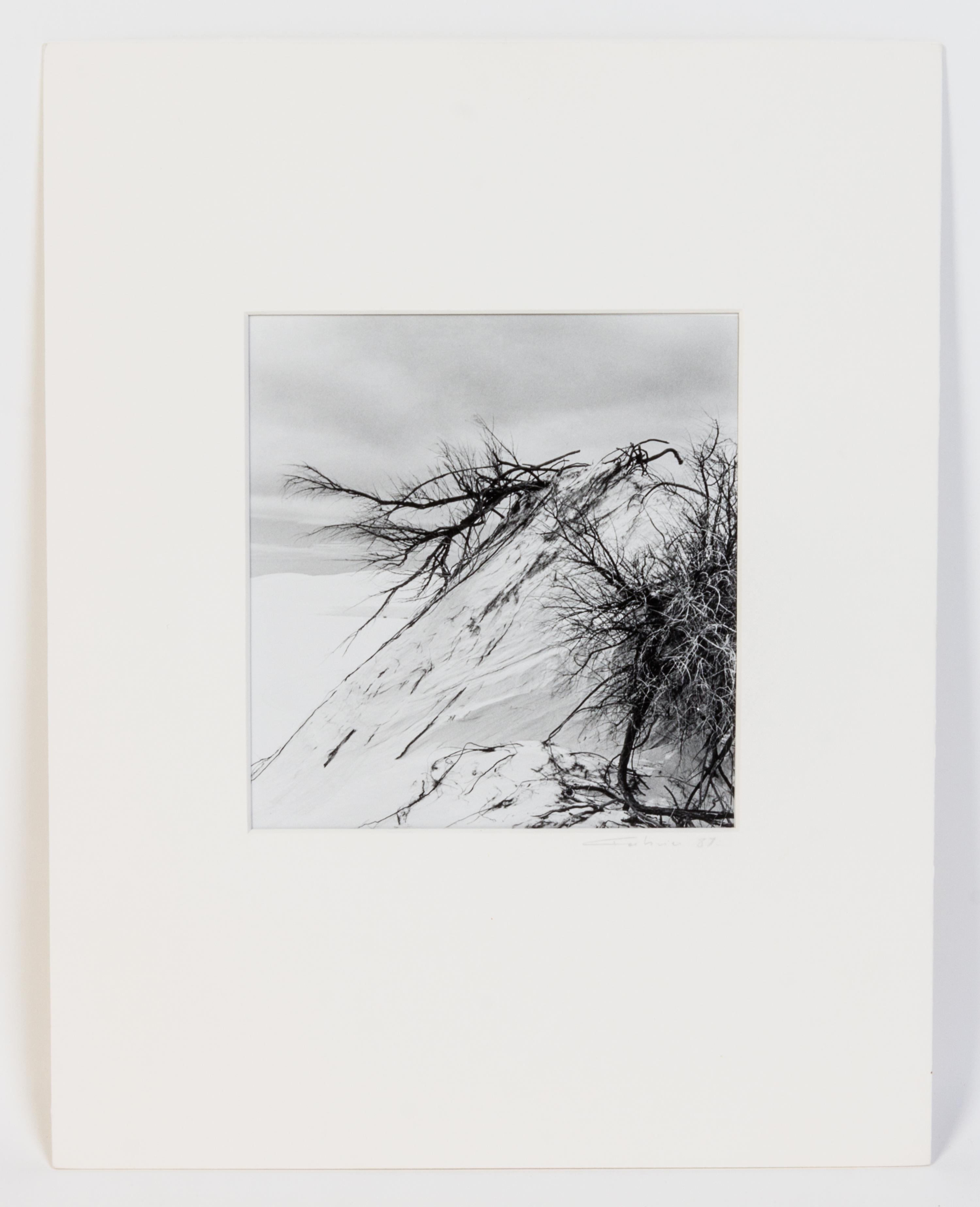 Artist Unknown, (20th century), Untitled
