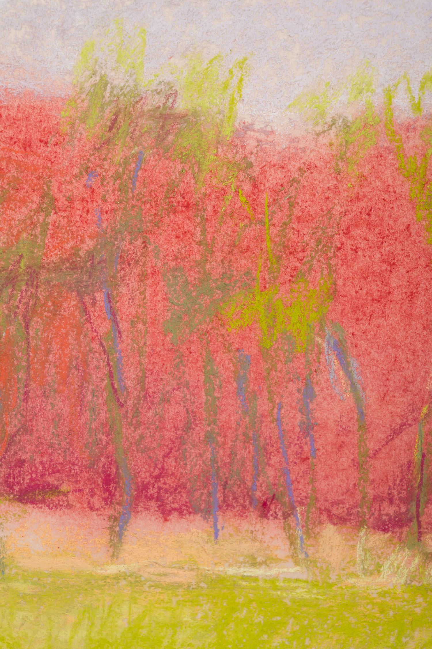 Young Locust Trees