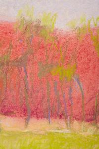 Young Locust Trees