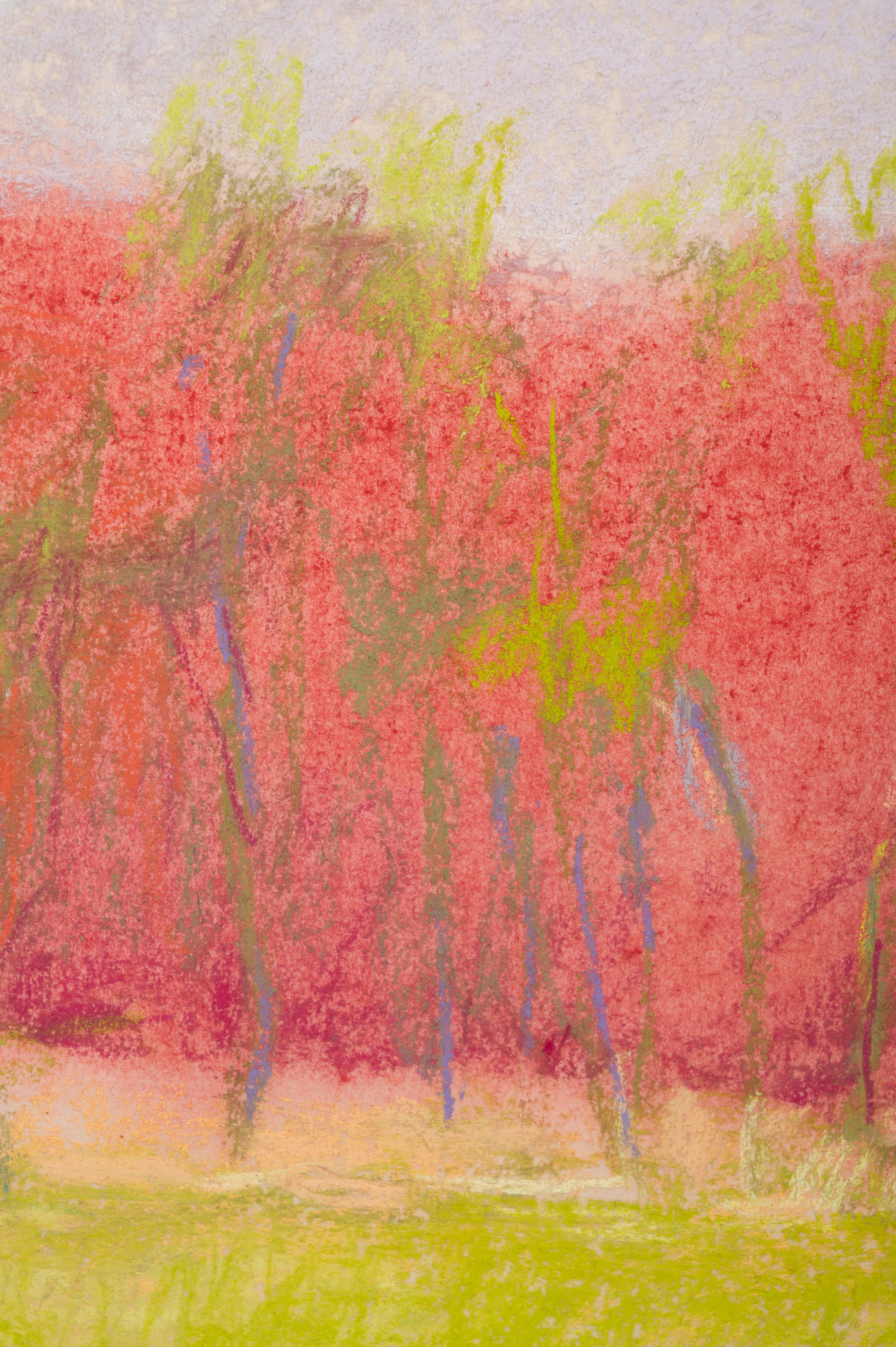 Young Locust Trees