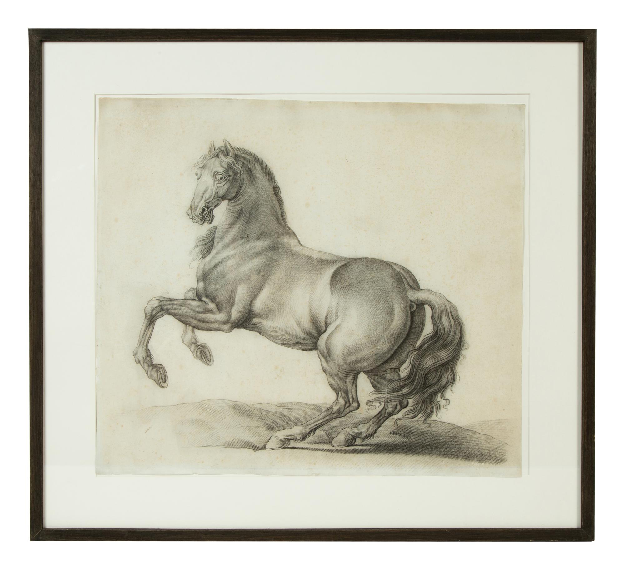 Two Works; Nude Study and Equine Study