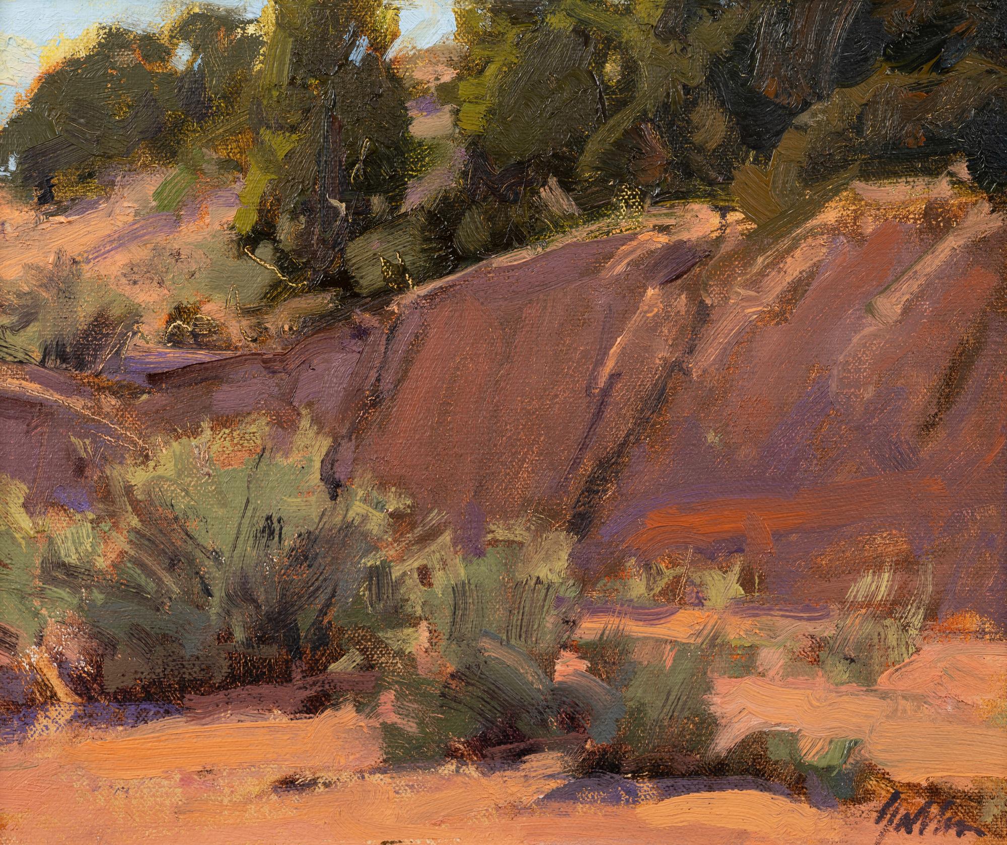 Arroyo Bank and Trees