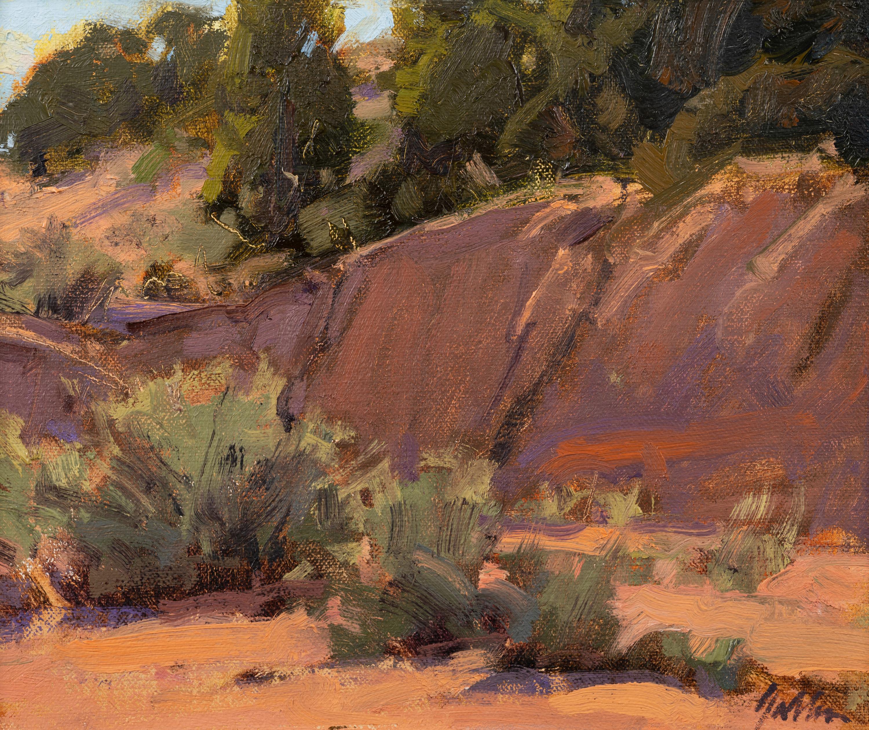 Arroyo Bank and Trees