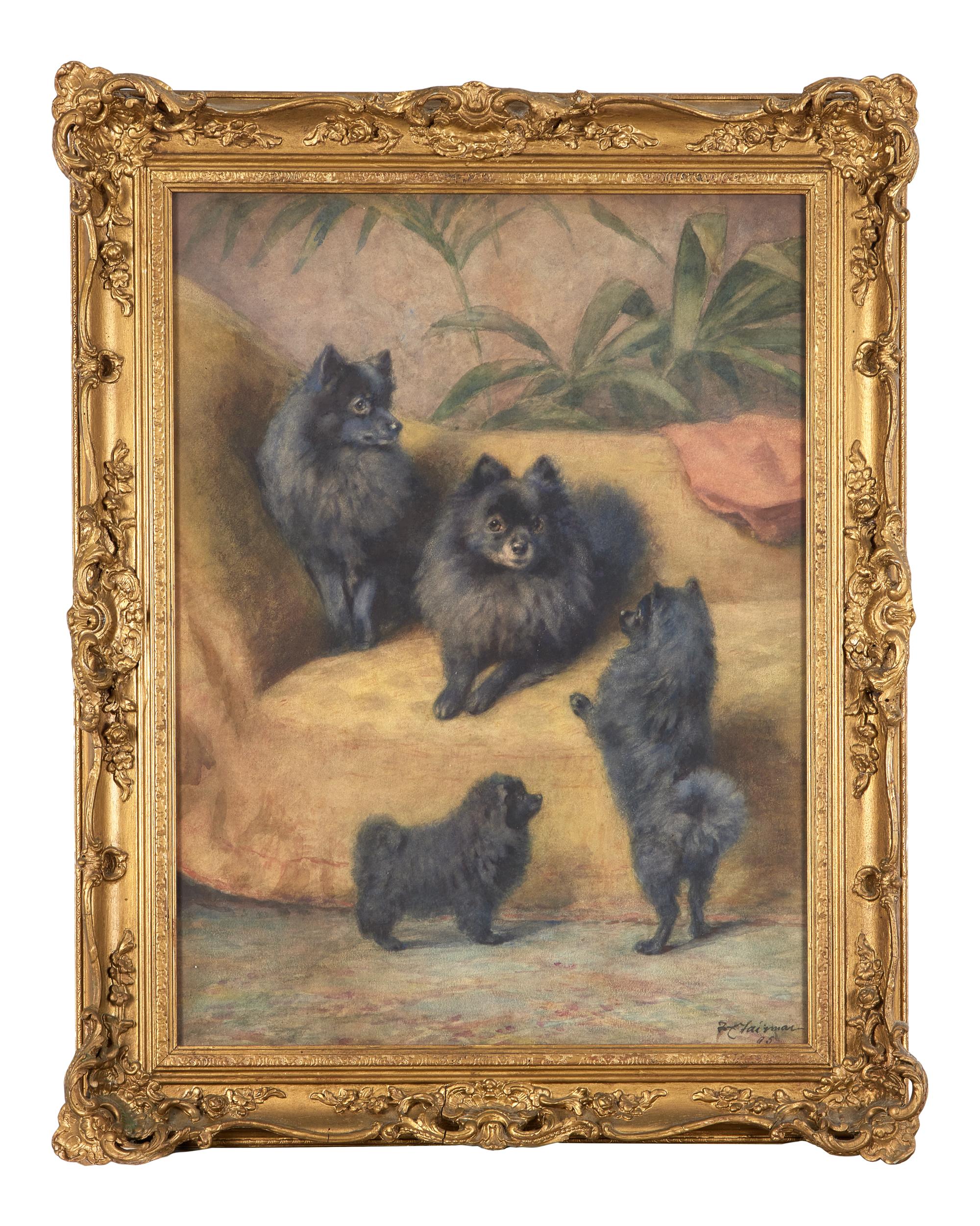 Pomeranians, 1895