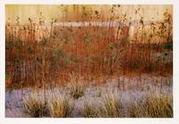 Glen Canyon (8 of 10 photographs)