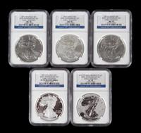 A 2011 Silver Eagle: Early Releases $1 Five Coin Set