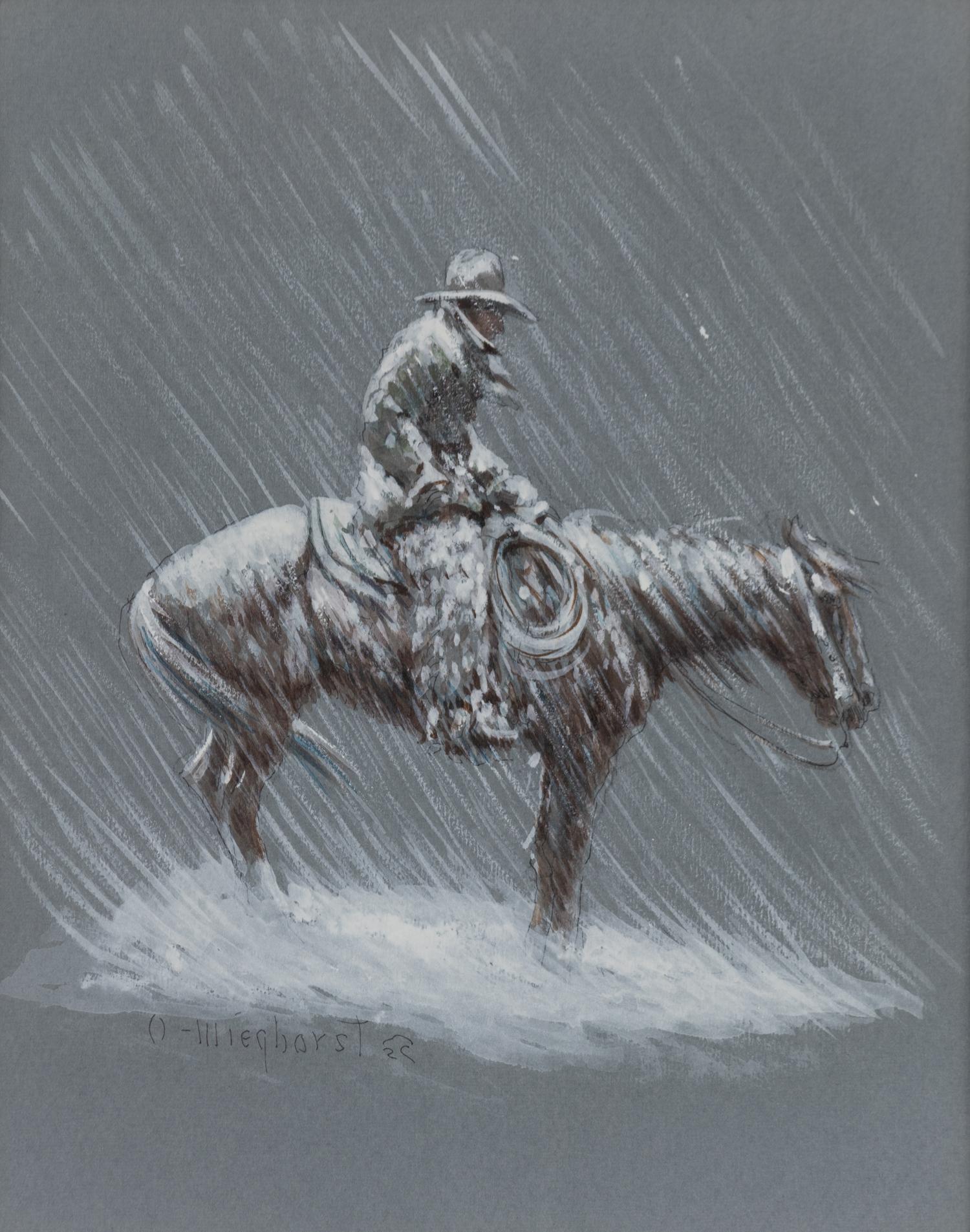 Snow Storm